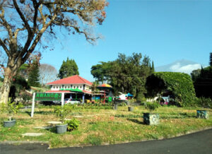 lokasi penginapan outbound kebut teh lawang